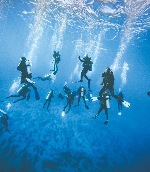 Divers ascending
