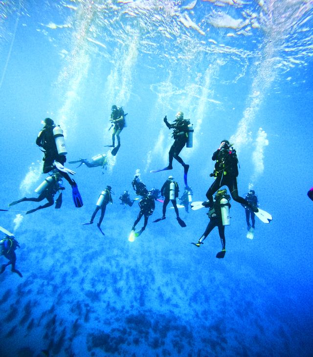 Divers descending