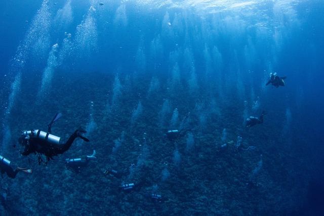 On the reef